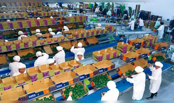 Educación y salud influyen en la baja productividad laboral
