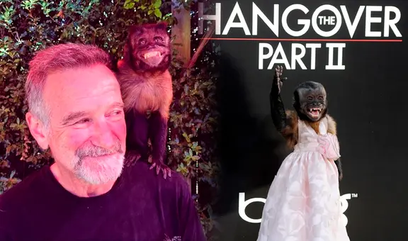 Crystal, el mono que es una estrella en Hollywood y ha trabajado en más de 30 series y películas