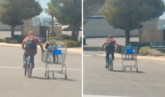 Sale a pasear en bicicleta y lleva a su perrito en coche para no dejarlo solo en casa