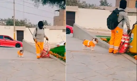 Trabajadora de limpieza asiste con su perro a su jornada laboral y can tiene su propio uniforme