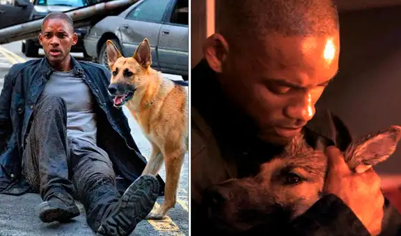 “Soy leyenda”: ¿qué pasó con Sam, la perrita de Will Smith?