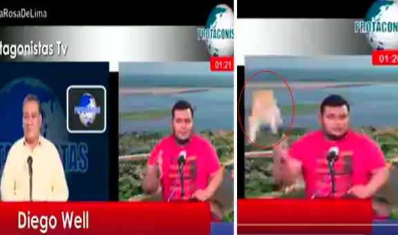 ¡Solo en Perú! Gato cae en mesa de candidato regional durante una entrevista en vivo