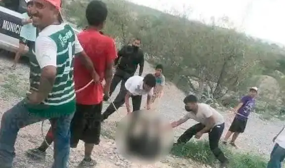 Indignación en México: 8 personas ataron, torturaron y mataron a una cría de oso 