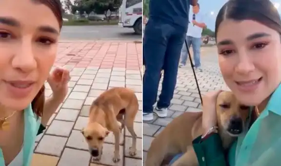 Reportera, que estaba lista para salir al aire, abandona su labor y rescata a perrito de la calle
