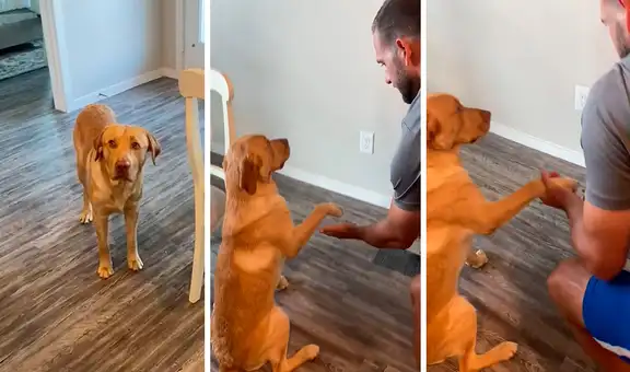 Perro muestra la pata a su dueño y se pone a ‘rezar’ junto a él antes de comer sus croquetas