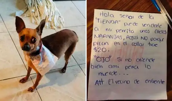 Joven envía a su perrita a la tienda con una nota para que le vendan un Cheetos