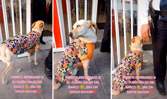Perro acompaña a su dueño al banco y lo espera a la salida para cuidarlo en su regreso a casa