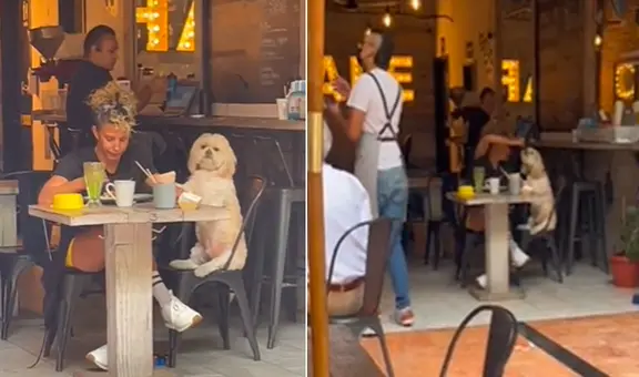 Perrito acompaña a su dueña a almorzar y juntos protagonizan conmovedora escena
