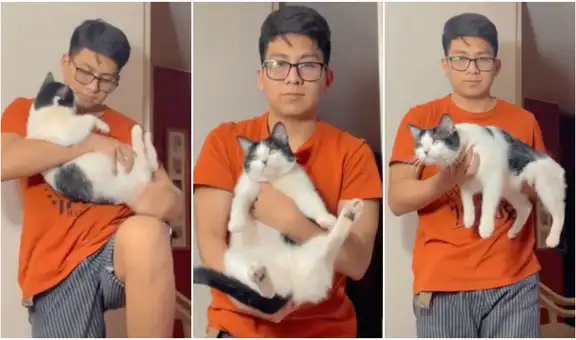 ¿Sabes cómo cargar a tu gato? Revelan la manera adecuada de sostener a un minino en brazos