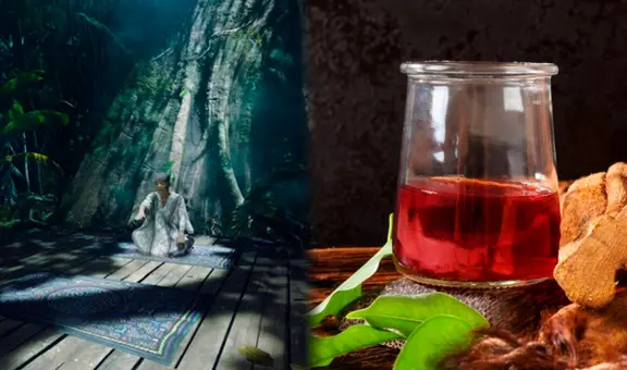 Ayahuasca: ¿cómo es el juego psicodélico que te volará la cabeza como el trago amazónico?