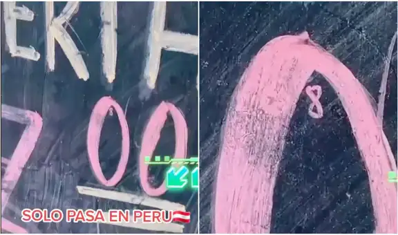 Joven encuentra una promoción de huevos, se acerca a comprar y vendedora le revela la verdad