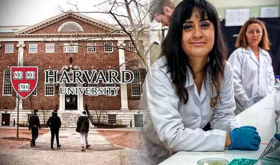 ¿Cómo postular a Harvard y estudiar un posgrado gratis con una beca de Pronabec?
