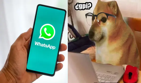 WhatsApp: ¿qué significa ‘gpi’ y por qué los jóvenes lo utilizan en sus conversaciones?