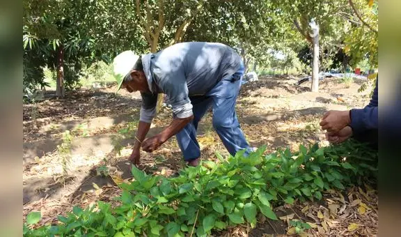 Más de 115.000 agricultores se dedican a la producción orgánica