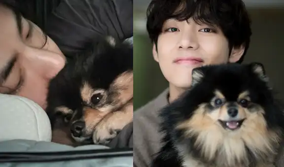 Taehyung de BTS: ¿cuándo fue el cumpleaños de Yeontan y qué proyectos realizó ARMY?