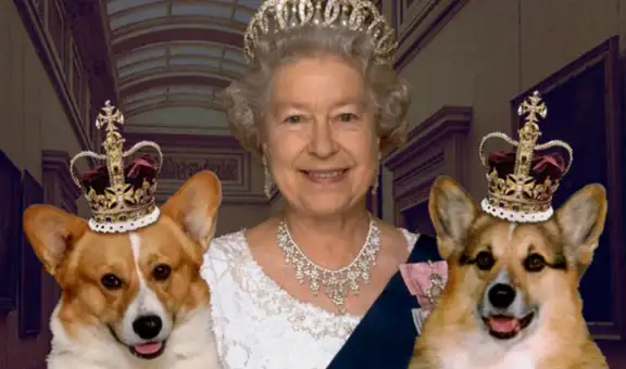 Reina Isabel II y los 30 de perros corgis que tuvo en toda su vida