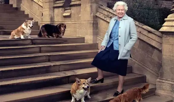 Reina Isabel II: ¿qué pasará con sus queridos perros corgi?