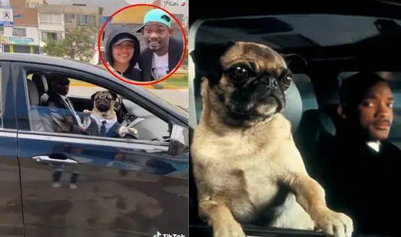 ‘Will Smith venezolano’ es captado con perro pug al mismo estilo de “Los hombres de negro”