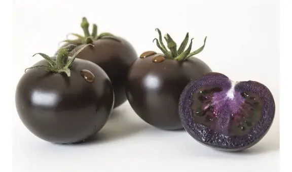 Tomate morado, el alimento creado con ingeniería genética que ya está aprobado en EE. UU.