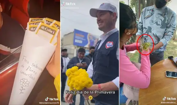 “Floricienta”: los videos más virales de jóvenes que hicieron el trend de regalar flores amarillas