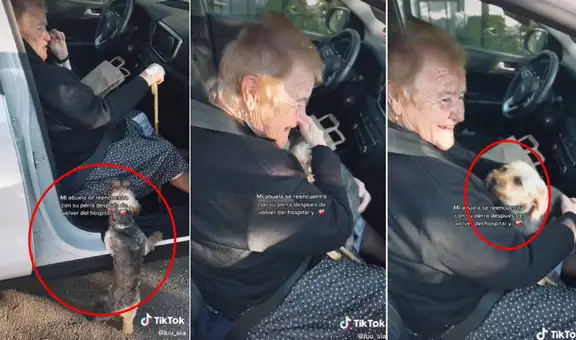 Abuela sale del hospital y el reencuentro con su perrita conmueve a miles de personas