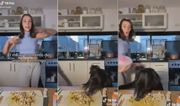 Joven prepara un platillo en vivo y su perrita aprovecha un descuido para ‘robarse’ la comida