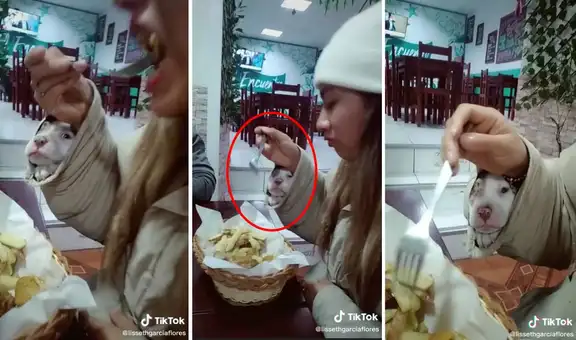 Joven esconde a su perro dentro de su casaca para cenar en restaurante sin que lo descubran