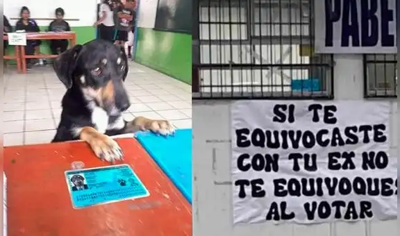 Elecciones 2022: los mejores memes de la última contienda electoral  