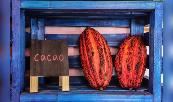 Exportaciones de cacao y chocolate peruano superaron los US$ 192 millones hasta julio