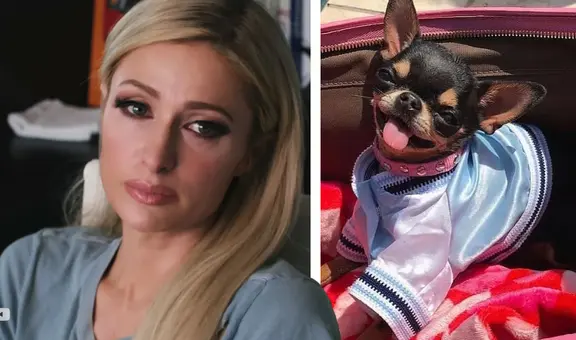 Paris Hilton contrató a 7 psíquicos de mascotas para encontrar a su perro desaparecido
