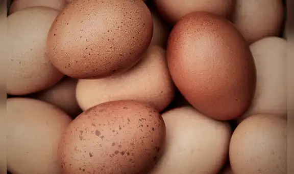 Más de 3,8 millones de huevos bolivianos subsidiados entraron esta semana al Perú por contrabando