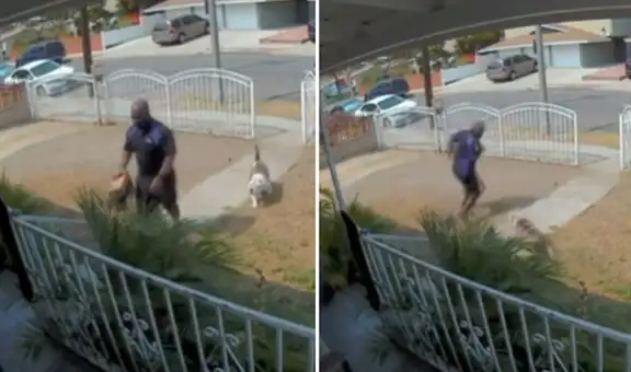 Perro no reconoce a repartidor que llevó pedido a su casa y tiene inesperada reacción al verlo
