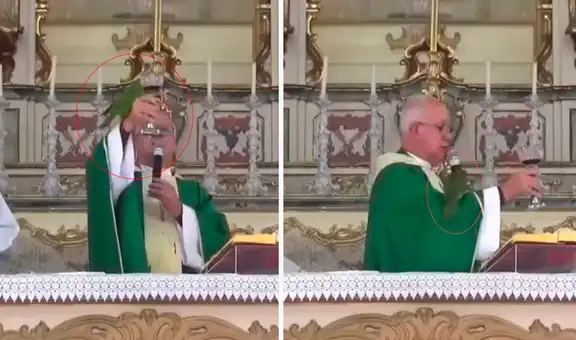 Loro aterriza en mesa de sacerdote que oficiaba una misa e insiste en beber el vino de la copa