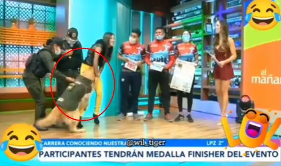 Perrito policía es presentado en TV y se pone ‘mañoso’ en vivo al ver a la conductora