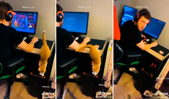 Joven disfruta de un videojuego en línea y su travieso gato le apaga la PC sin querer