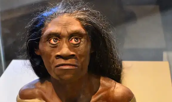 Los ‘hobbits’, primos enanos del hombre, podrían estar ocultos en una isla, según antropólogo