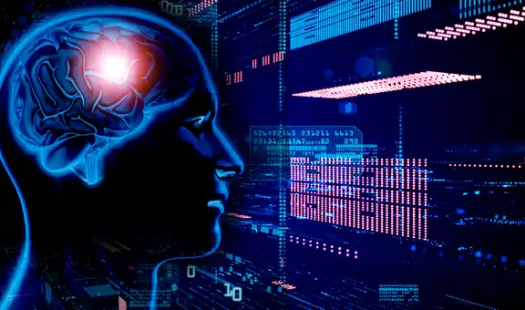 ¿Cuánta información puede retener el cerebro de una persona?