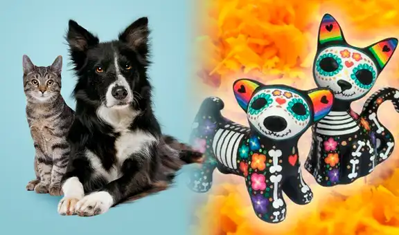 Día de los Muertos: ¿cuándo se recuerda a las mascotas fallecidas y cómo hacer la ofrenda?