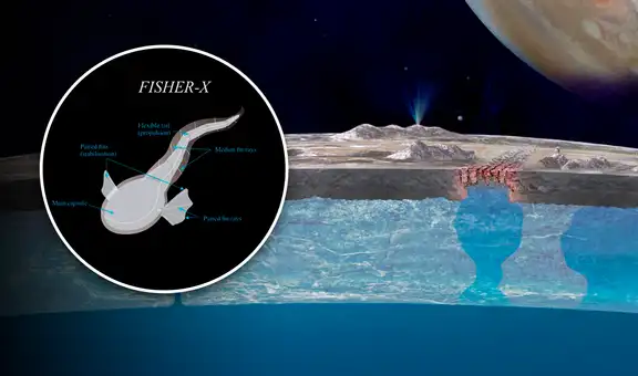 Investigadores peruanos diseñan pez robot para buscar vida en Europa, luna de Júpiter 