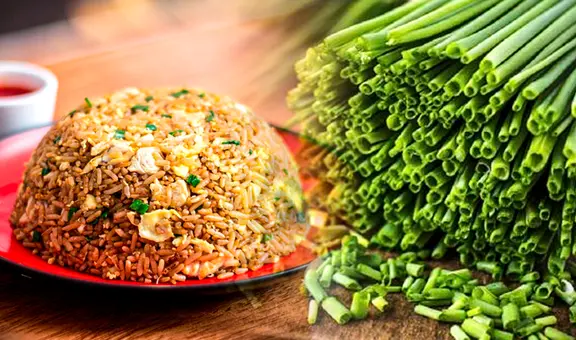 ¿Con qué otros ingredientes se puede sustituir la cebolla china en nuestras comidas?