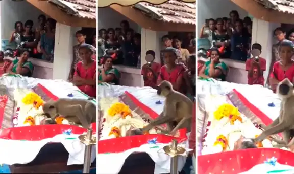 Monito se acerca al ataúd de su dueño y se despide con un beso durante su funeral