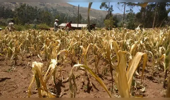 Sequías e inundaciones le cuestan al Perú hasta US$13.400 millones al año, según el Banco Mundial