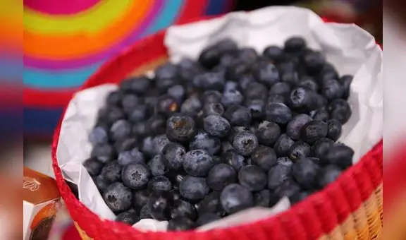 Producción nacional de arándanos cayó un 52% por culpa del cambio climático