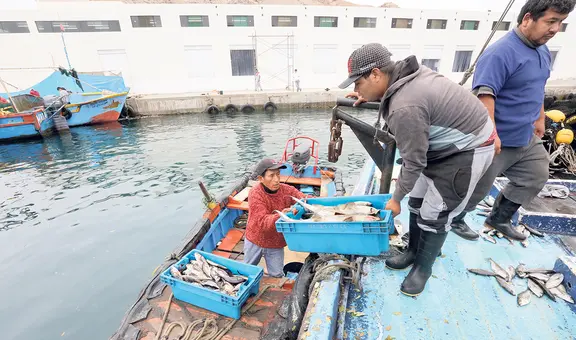 Pescadores artesanales exigen promulgación de la ley que protege las 5 millas