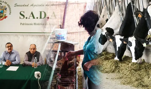 Producción de carne de pollo en riesgo por bloqueos que impiden ingreso de productos de Bolivia