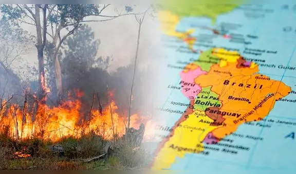 Crisis en Sudamérica: ¿cuáles son los países más afectados por incendios forestales?