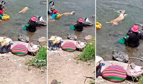 Perrito aprovecha que su dueña lava su ropa en la orilla para darse un chapuzón en el río