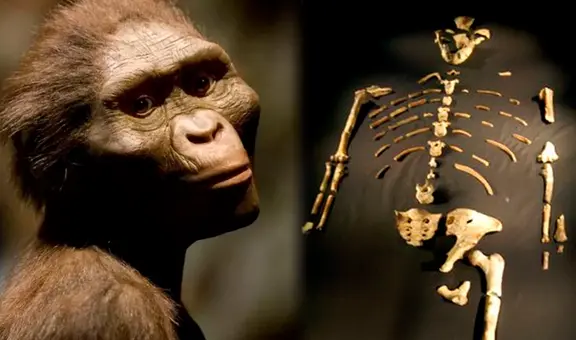 La historia de Lucy: ¿por qué es considerada el fósil que reescribió la evolución humana?