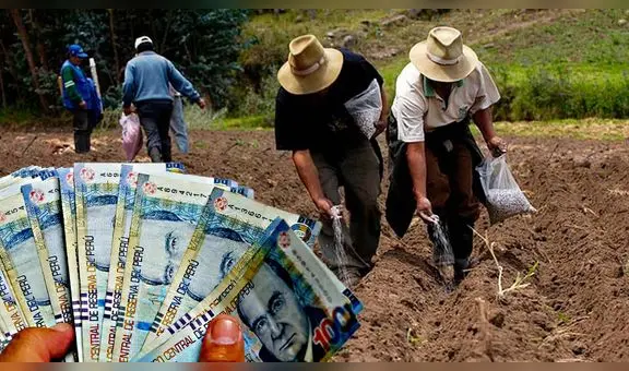 Bono FertiAbono 2023: conoce el LINK oficial y revisa si te corresponde este apoyo económico