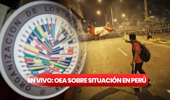 Consejo de la OEA EN VIVO: La OEA le pide al Gobierno peruano que convoque pronto elecciones